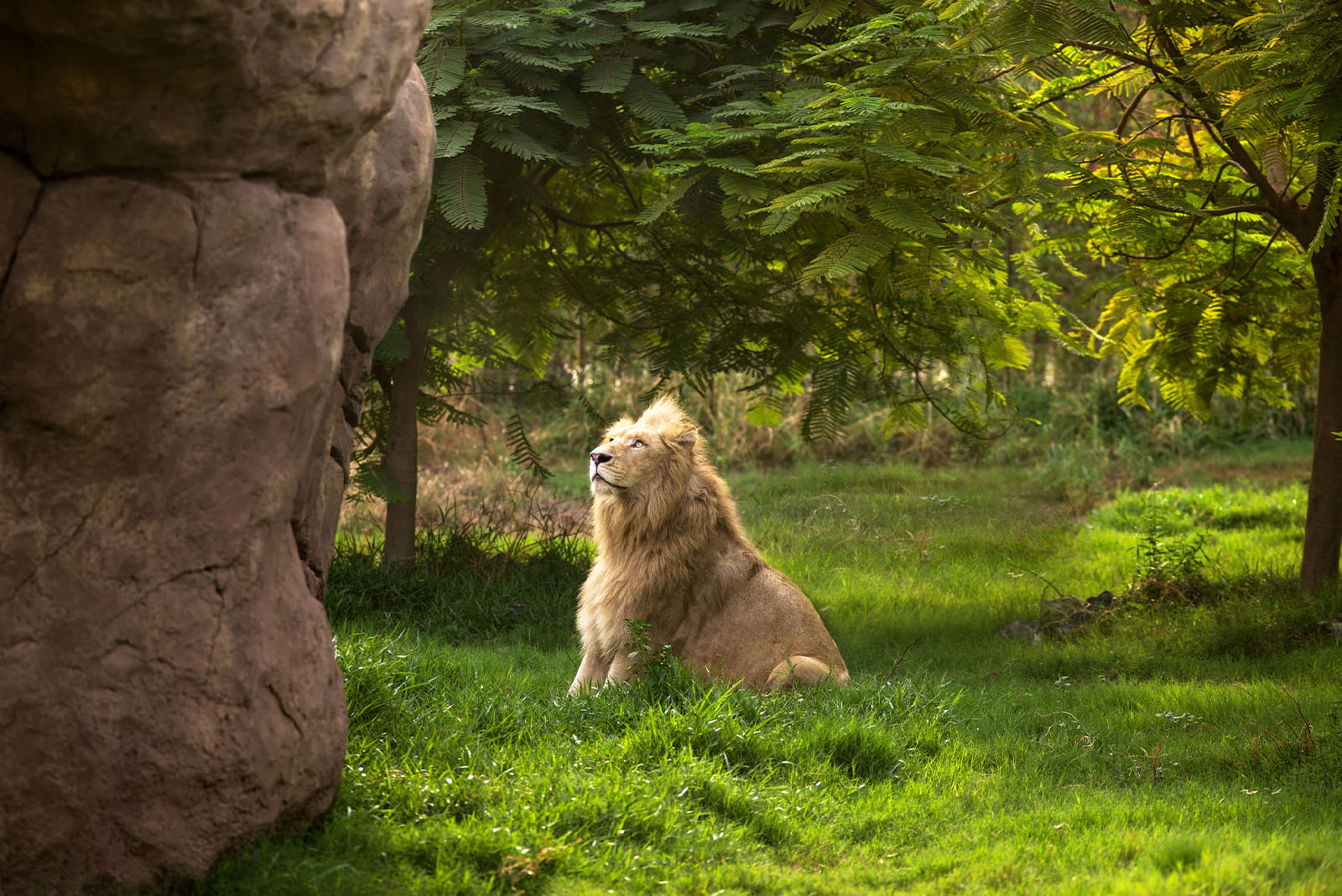 迪拜天气，迪拜野生动物园